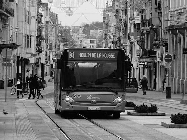 Les meilleures expériences touristiques à découvrir à Reims